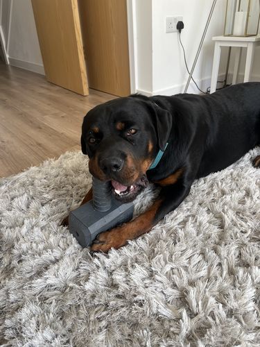 Customer photo review of The Fenrir Hammer