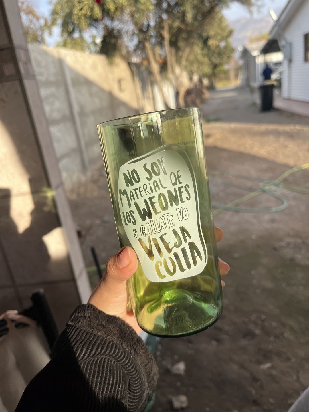 Customer photo review of Viral 2.0 Juego de 6 Vasos