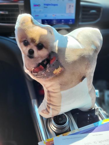 Customer photo review of Create A Custom Dog Pillow