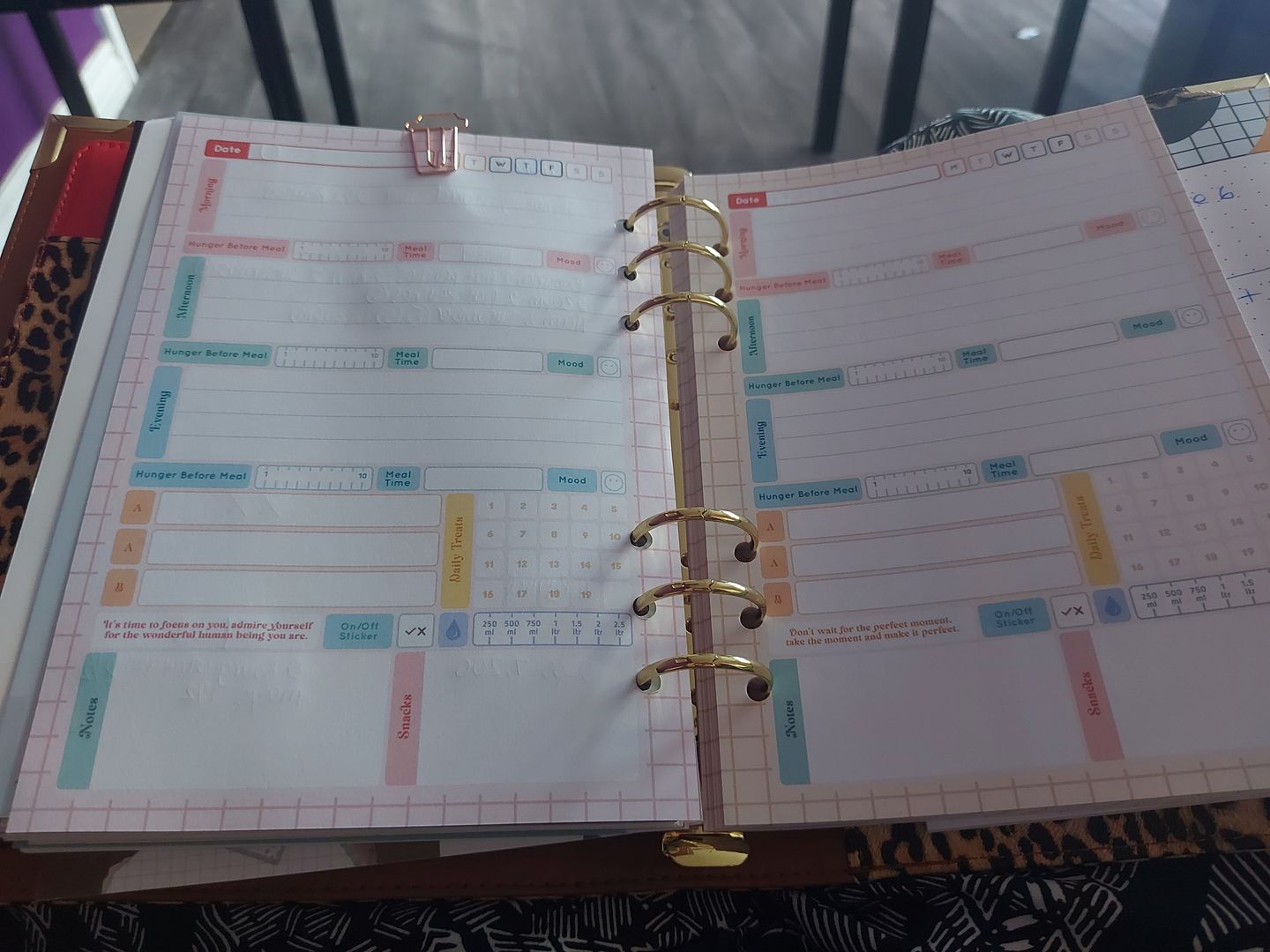Customer photo review of Slimming World - Spacious - Organiser Refill