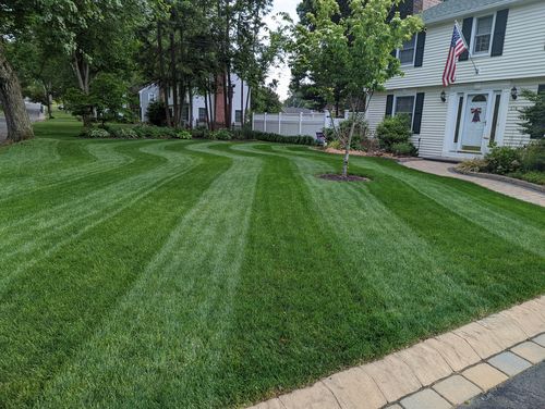 Customer photo review of OII-YS Natural Adjuvant Starter Pack