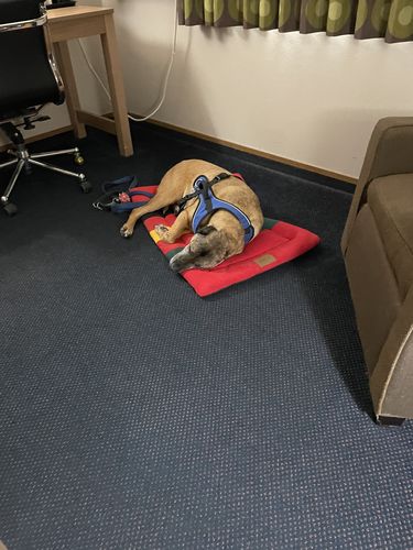 Customer photo review of Explorer