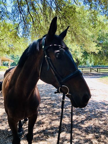 Customer photo review of Masego gemstone confetti browband