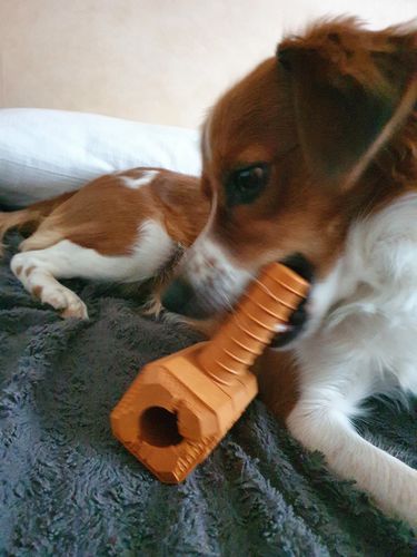 Customer photo review of The Fenrir Hammer