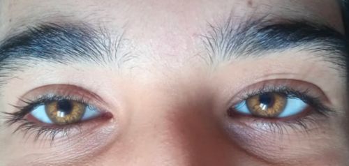 Customer photo review of DNA Taylor Brown Hazel-b Colored Contacts Lenses