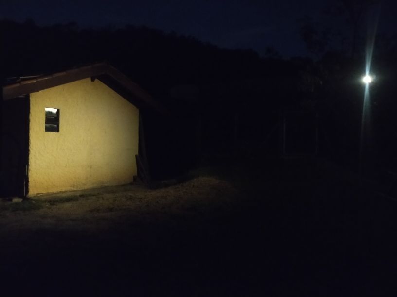 Customer photo review of TSUN Solar Spotlights For Trees Warm White
