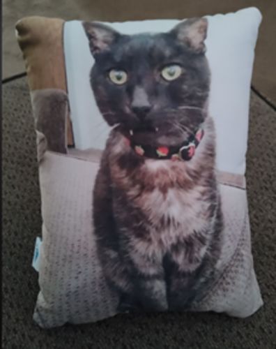 Customer photo review of Create A Custom Anything Pillow