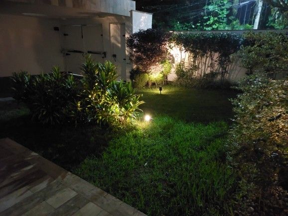 Customer photo review of TSUN Solar Spotlights For Trees Warm White
