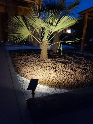 Customer photo review of TSUN Solar Spotlights For Trees Warm White