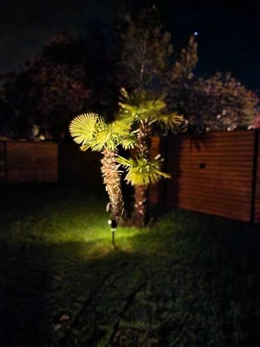 Customer photo review of TSUN Solar Spotlights For Trees Warm White