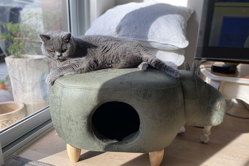 Customer photo review of ZEZE Fashion 2-in-1 Cat Stool Animal House Chair Bed