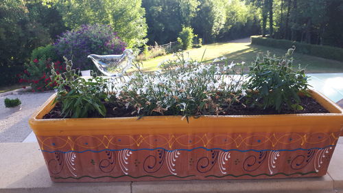 Customer photo review of Mon petit oiseau - Le Jardin de Mamie®