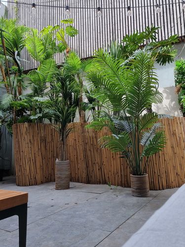 Customer photo review of Dracaena Kunstplant 130cm