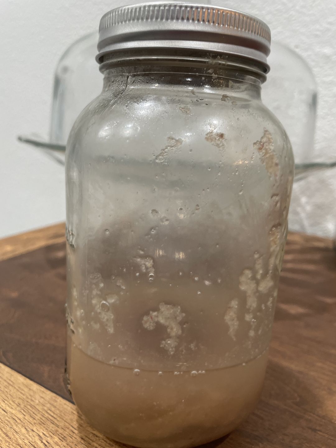 Customer photo review of Jamaican Purple Sea Moss (Raw, Wildcrafted)