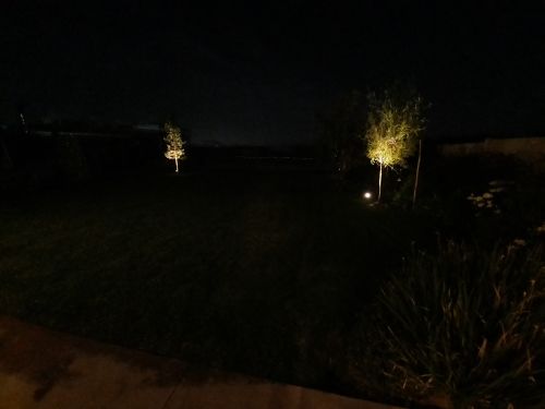 Customer photo review of TSUN Solar Spotlights For Trees Warm White