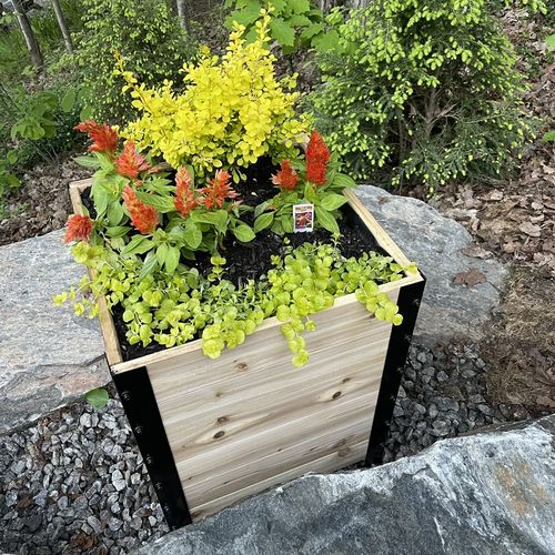 Customer photo review of 18″ x 18″ Planter Box 24" Tall