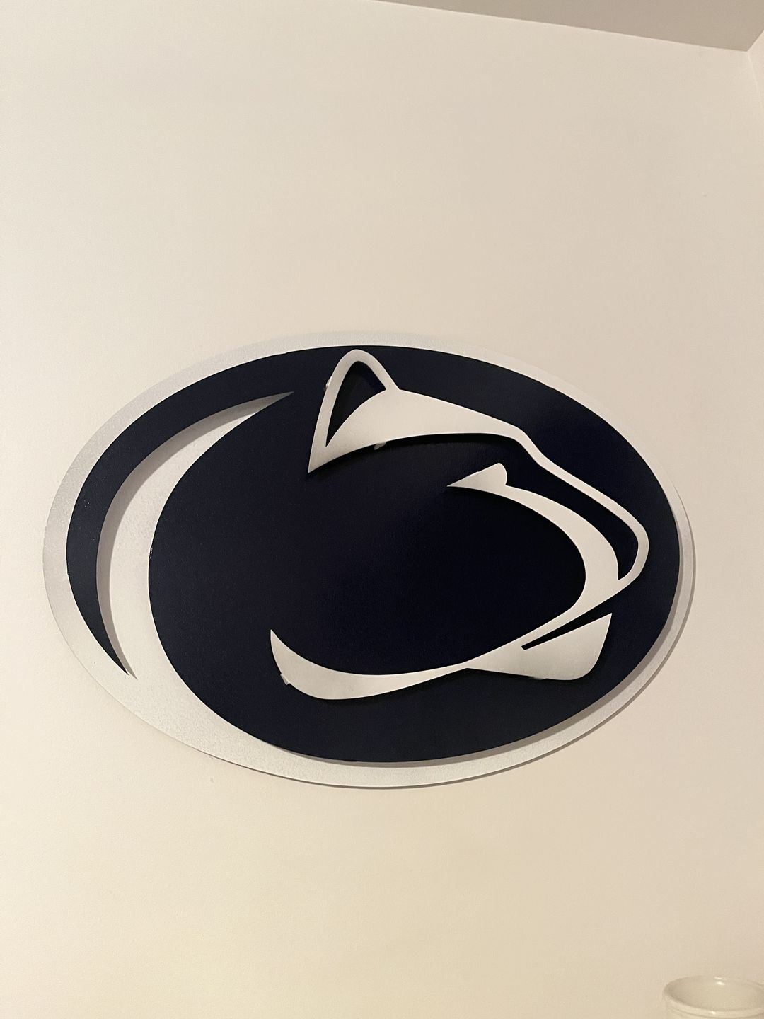 Customer photo review of Penn State Nittany Lions 3D Artwork