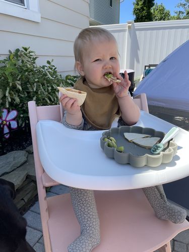 Customer photo review of Silicone Plate - Lion