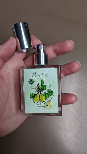 Customer photo review of Pear Tree