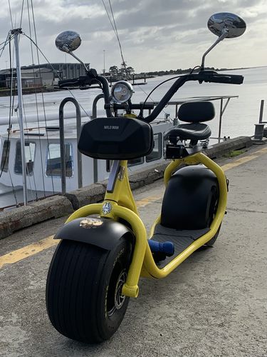 Customer photo review of V3 Sumo Fat Tyre KAA Speed Electric Golf Scooter
