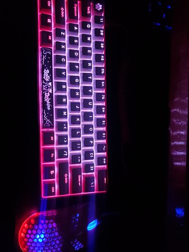 Customer photo review of Belle Delphine Limited Edition Combo Box