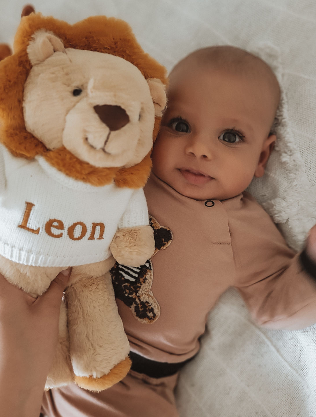 Customer photo review of Bradly the Lion - Jollyhugs™ Collection