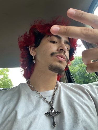 Customer photo review of “Split” Cathedral Link Spiked Chain (Adjustable)