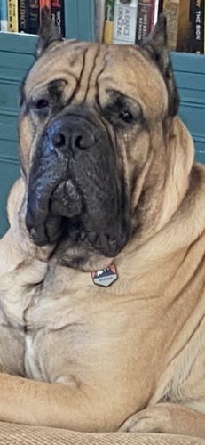 Customer photo review of Explorer Silicone