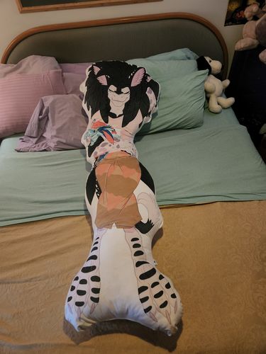 Customer photo review of Create A Custom Lifesize Pillow