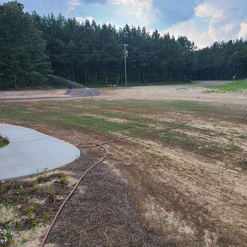 Customer photo review of GCI Turf Alpha Elite Bermuda Grass Seed