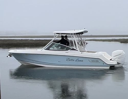 Customer photo review of Custom Digital Boat Artwork