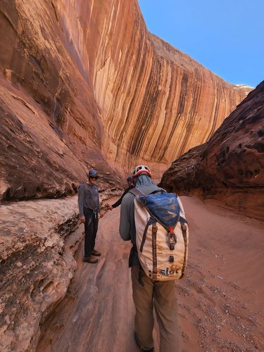 Customer photo review of Guide 50L