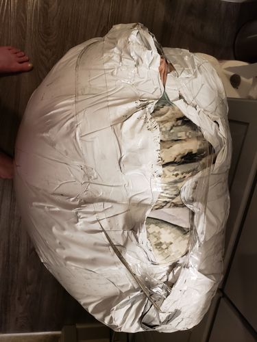 Customer photo review of Create A Custom Lifesize Pillow