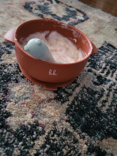 Customer photo review of Holle Organic Oatmeal Cereal Porridge - Hafer Avoine