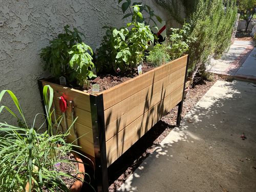 Customer photo review of 18" x 48" Raised Garden Bed