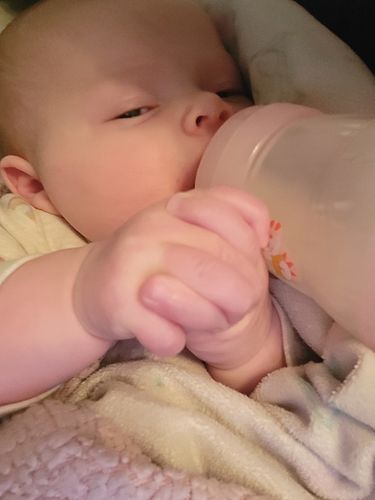 Customer photo review of Lebenswert Stage 2 Organic (Bio) Infant Milk Formula (500g), 1 BOX