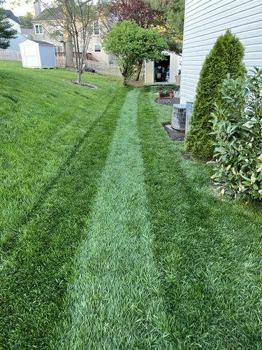 Customer photo review of 7-0-0 GreeNe EfFect™ 2.5 Gallon (Build-a-Box)