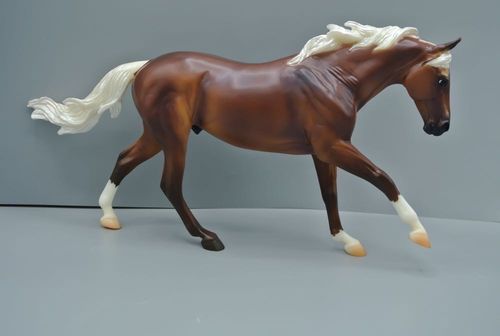 Customer photo review of Breyer Romeo 2022 Flagship Dealer Special Edition