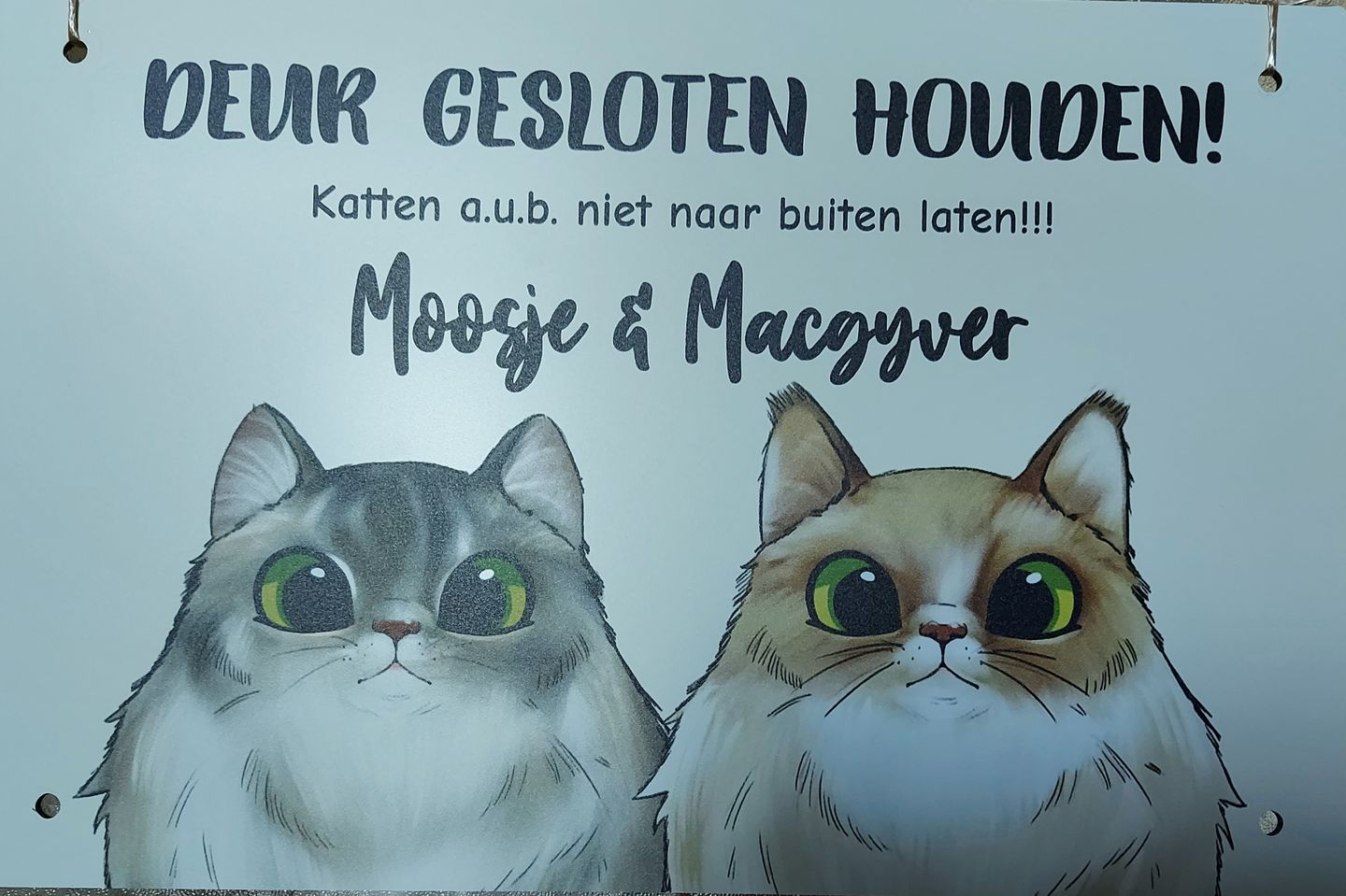 Customer photo review of Nieuwsgierige katten - Gepersonaliseerde deurbord