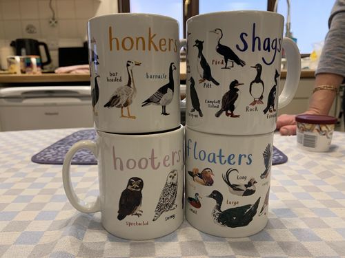 Customer photo review of Set of 4 Ceramic Bird Mugs - Shags, Hooters, Floaters and Honkers