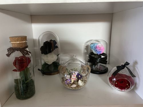 Customer photo review of Perfectly Imperfect Rainbow Mini Dome