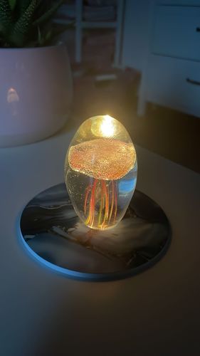 Customer photo review of EZ Originalz "LED-Untersetzer" mit gratis Ersatzbatterien