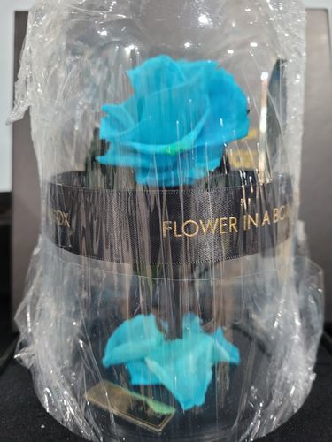 Customer photo review of Enchanted Rose Mini - SKY BLUE