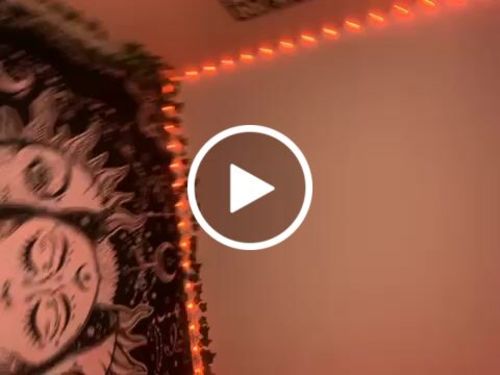 Customer video review of Wall Vines
