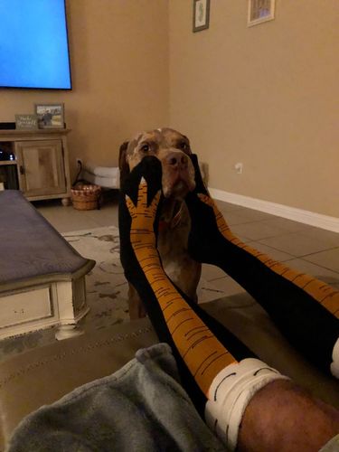 Customer photo review of Funny 3D Chicken Leg Socks