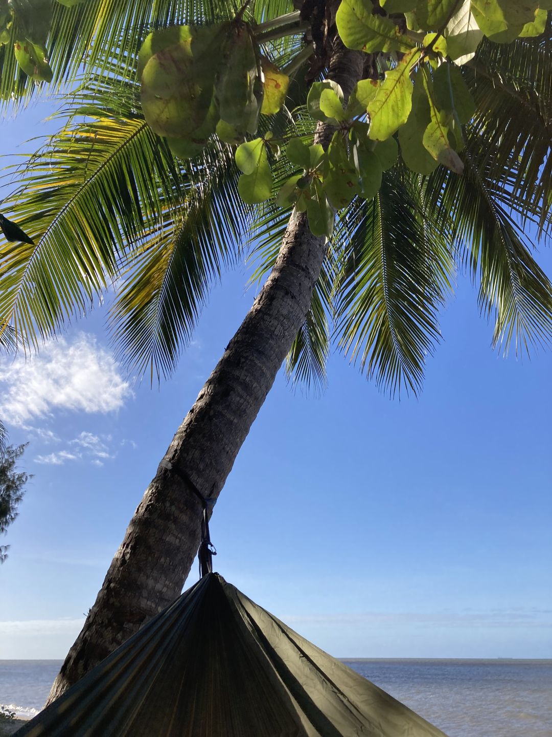 Customer photo review of Ultralight Hammock