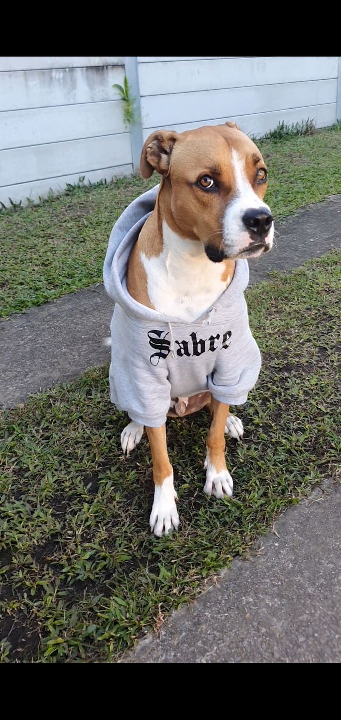 Customer photo review of Gangsta Yapper Dog Hoodie - Personalised