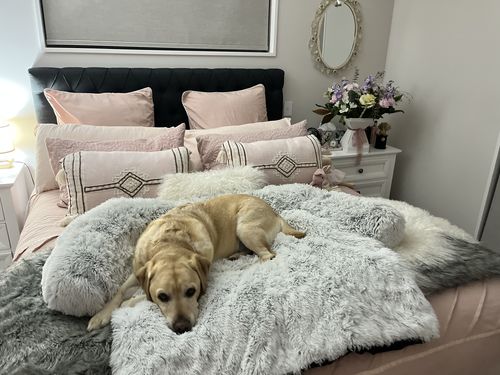 Customer photo review of Calming Couch Bed