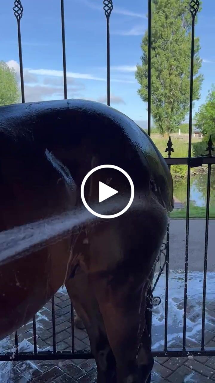 Customer video review of The New Ponyjet Hot Shower™