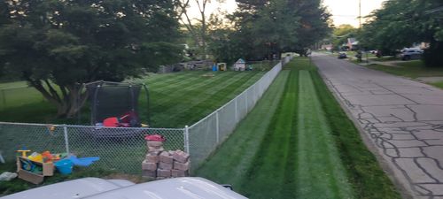 Customer photo review of N-Ext BioStimulant Package